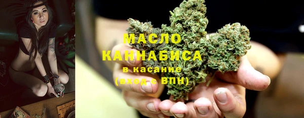 крисы Абаза