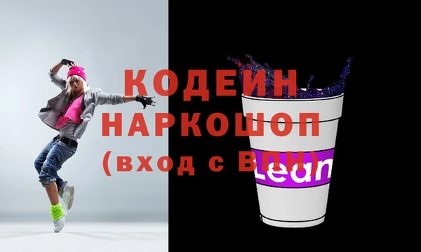 крисы Абаза