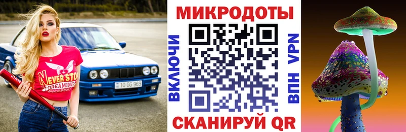 Галлюциногенные грибы Psilocybine cubensis  Нижневартовск 